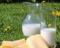 Калорийность молока и молочных продуктов
