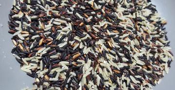 Полезные свойства черного риса для человека